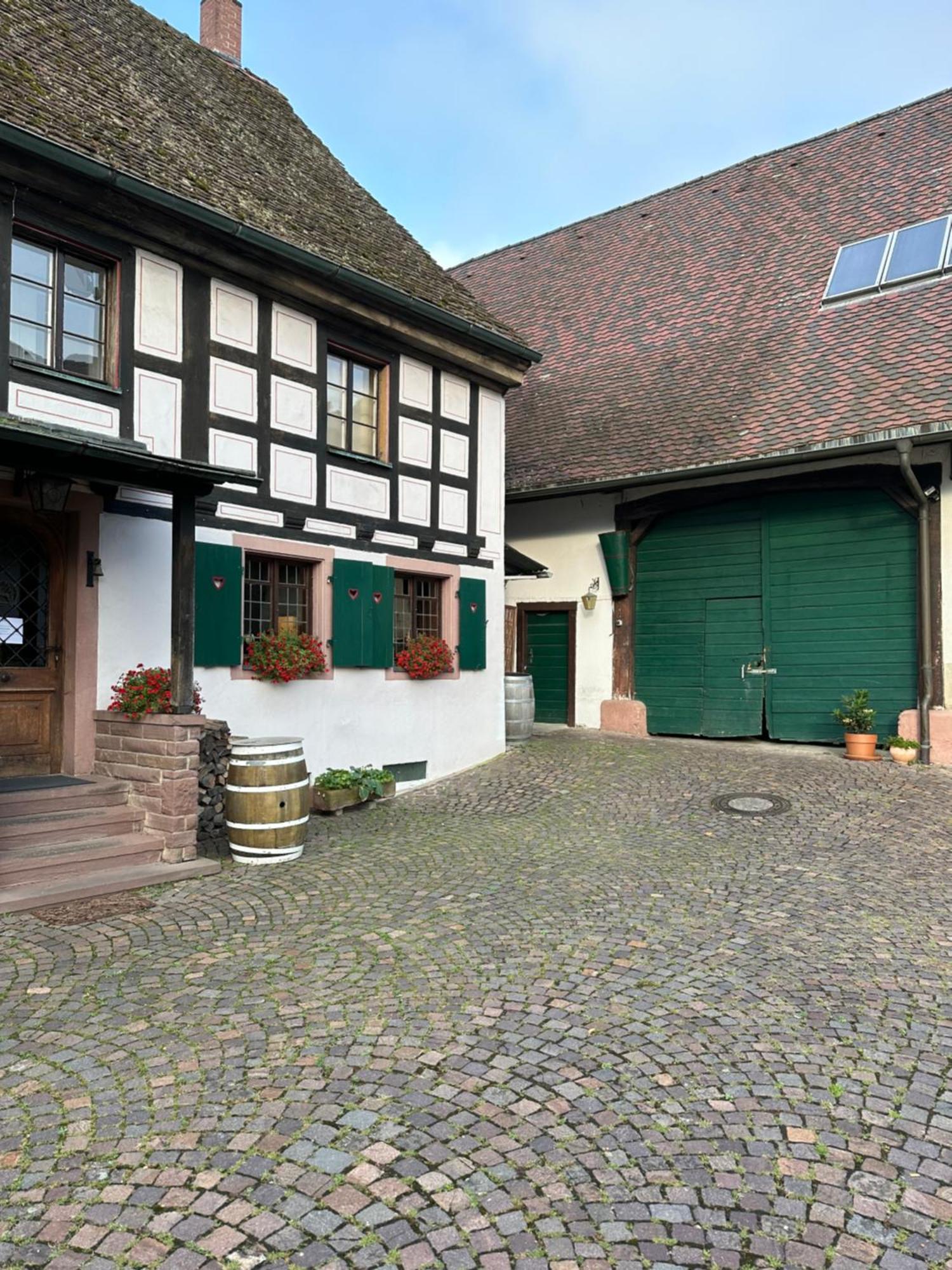 Exklusive Maisonette-Wohnung Am Rande Von Freiburg Merzhausen Exterior photo