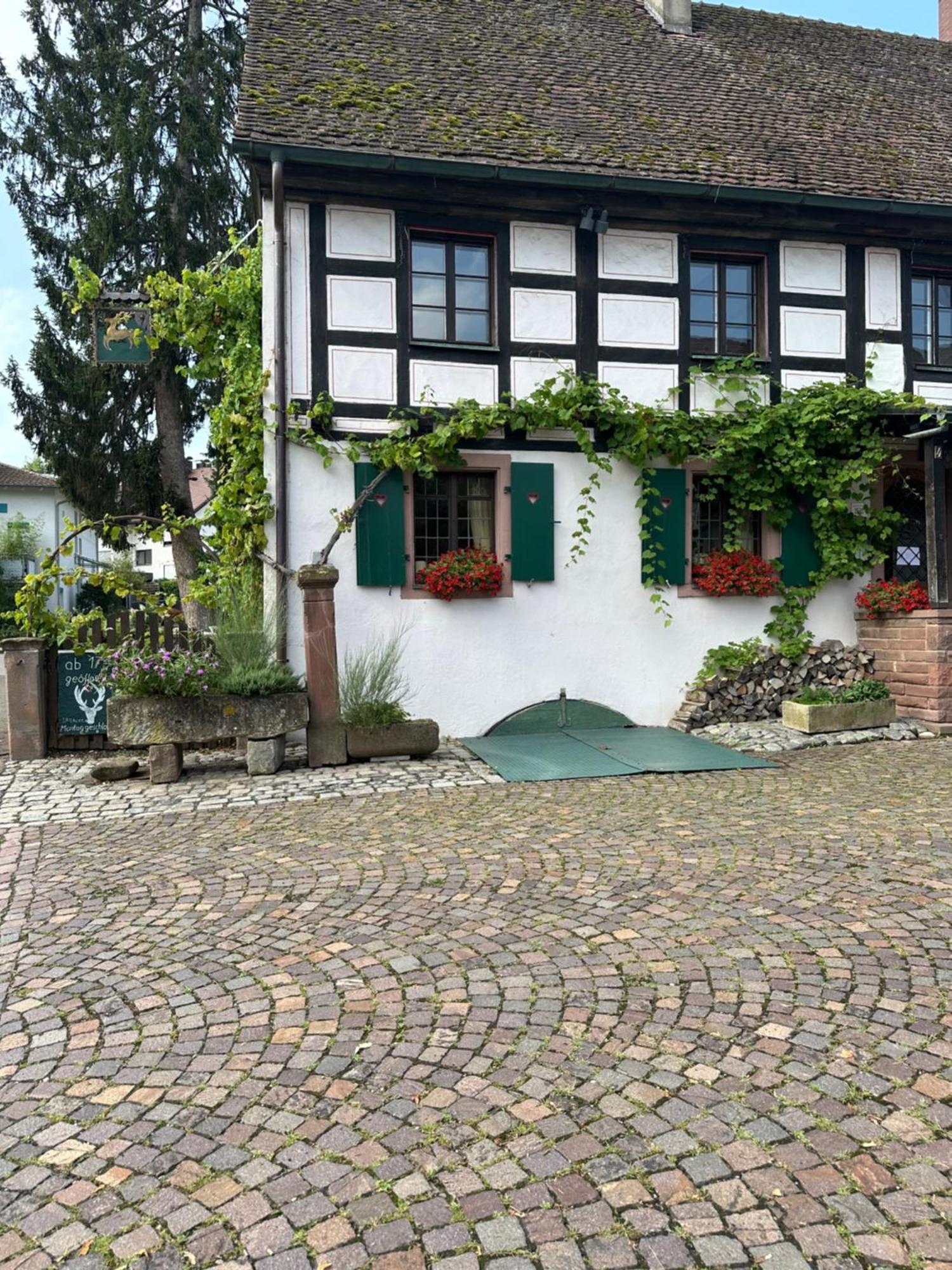 Exklusive Maisonette-Wohnung Am Rande Von Freiburg Merzhausen Exterior photo